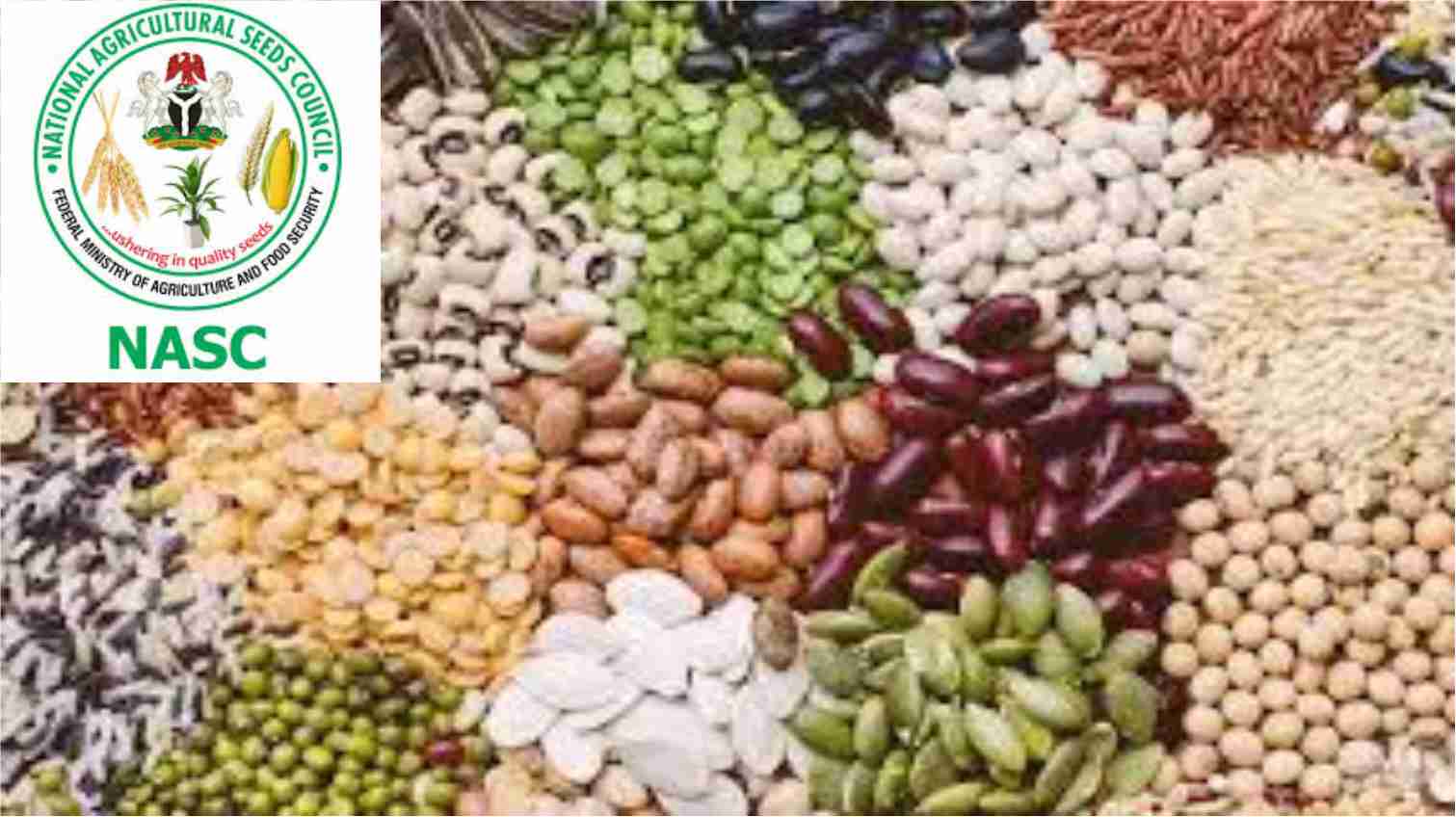 The National Agricultural Seeds Council (NASC): Ensuring Quality and Sustainability in Nigerian Agriculture