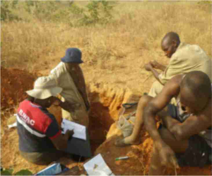 The Agricultural Research