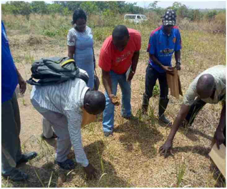 The Agricultural Research