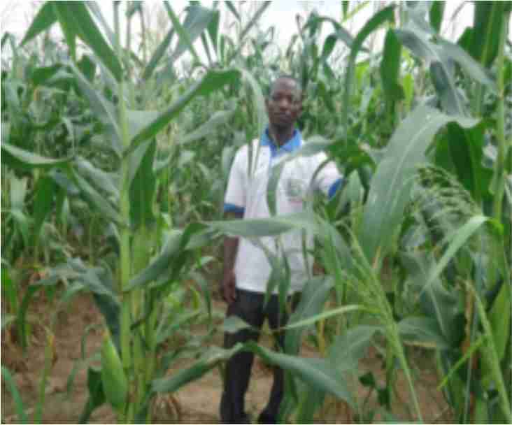 The Agricultural Research